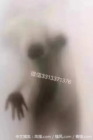 790f8413d82f48069a0d454abe854b2d.jpg